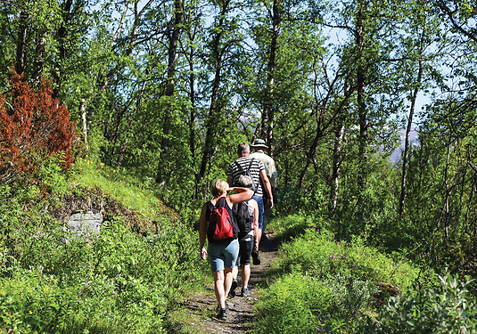 Pilgrimsvandring i Härjedalen – Romboleden