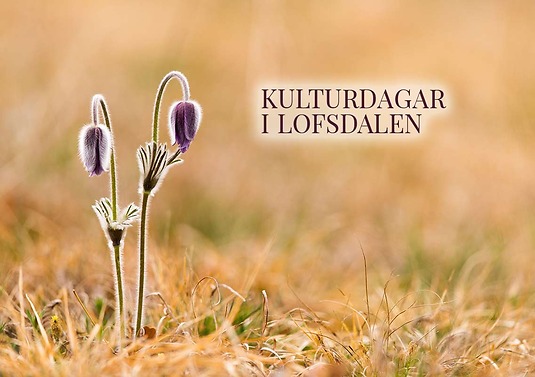 Kulturdagar i Lofsdalen