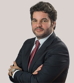 Rodolfo Bravo Pereira - Noesis