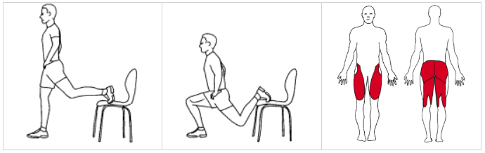 Bulgarian lunge ©ExorLive.com, IPTA - academy