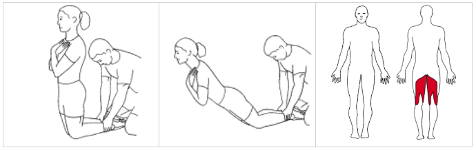 Nordic Hamstrings ©ExorLive.com