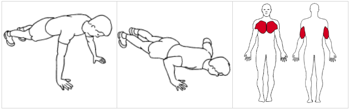 Pushups ©ExorLive.com