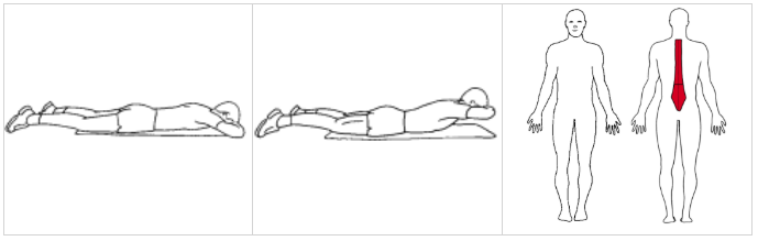 back extention ©ExorLive.com