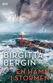 En hamn i stormen, bok av Birgitta Bergin