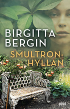 Birgitta Bergins senaste roman 