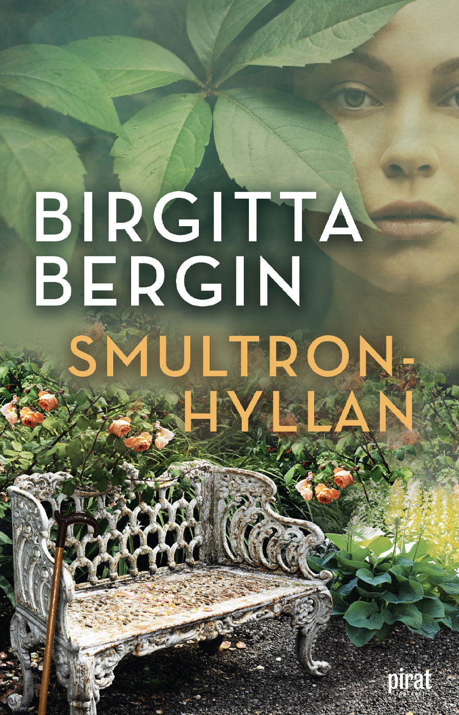 Birgitta Bergins bok 