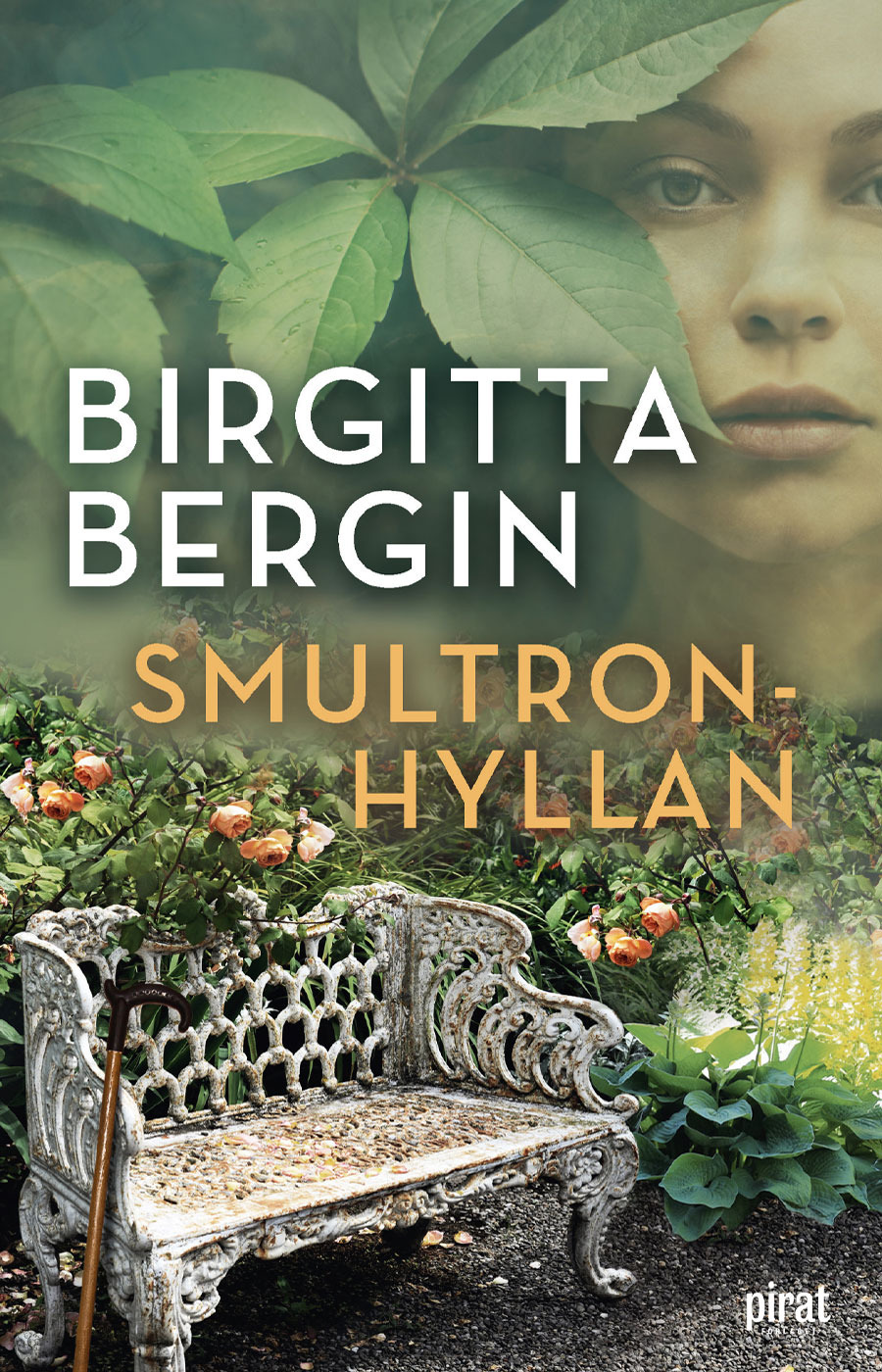 Birgitta Bergins bok