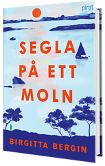 Bok av Birgitta Bergin