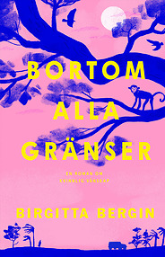 Bortom alla gränser – bok av Birgitta Bergin