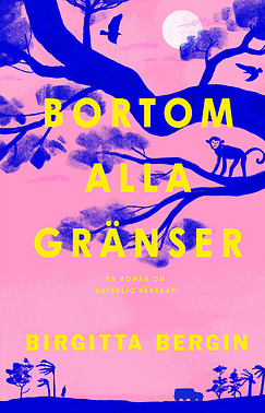 Boken Bortom alla gränser