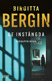 Birgitta Bergins senaste bok