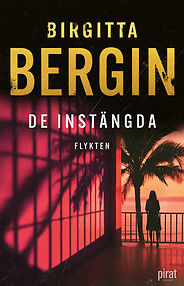 Birgitta Bergins bok