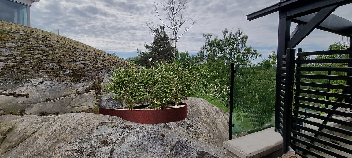 Cortenkant med bärbuskar