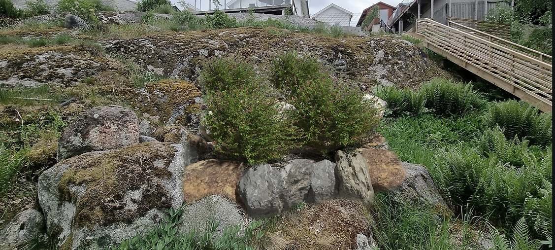 Planteringar i etage uppbyggda av sten