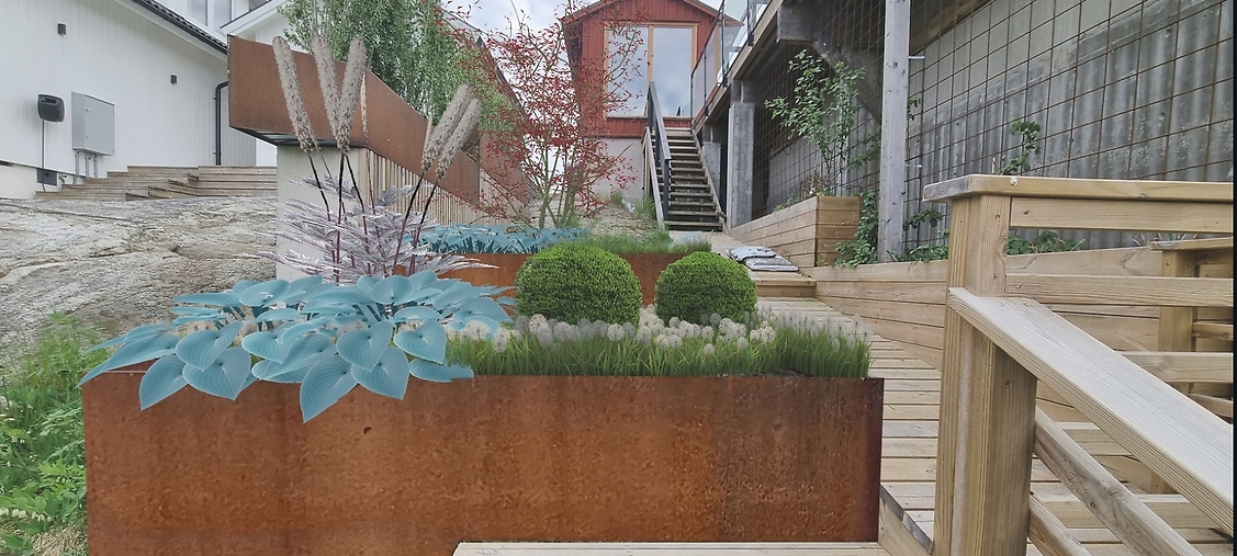 Plantering i cortenlåda