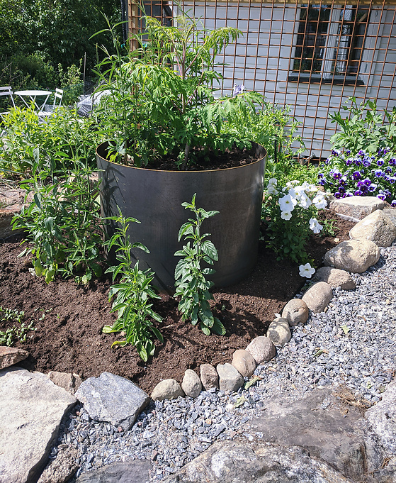 Trädgårdsdesign - cortenrör