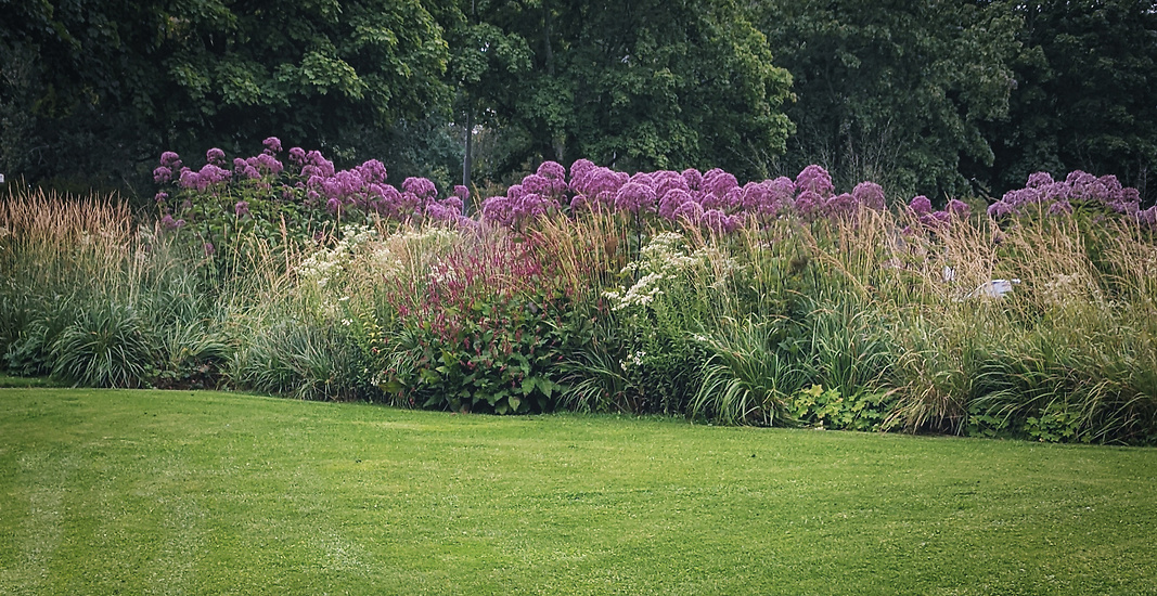 Trädgårdsdesign - Perennparken i Skärholmen