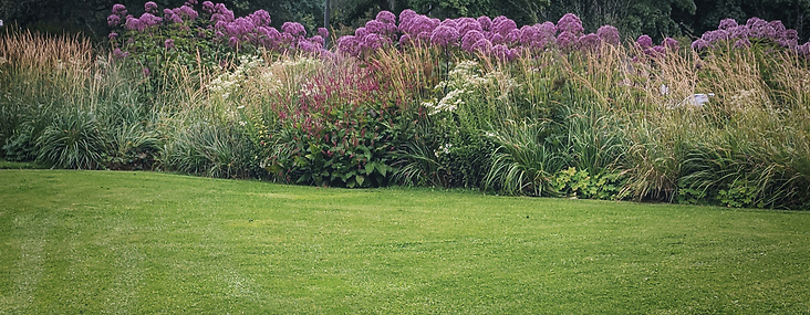 Trädgårdsdesign - gräsmatta