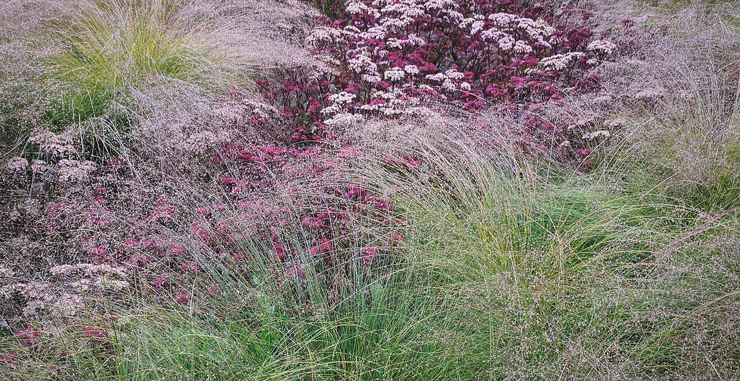 Trädgårdsdesign - Perennparken i Skärholmen