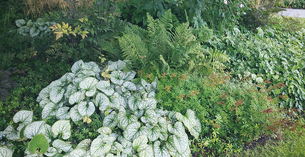 Trädgårdsdesign - Perennparken i Skärholmen