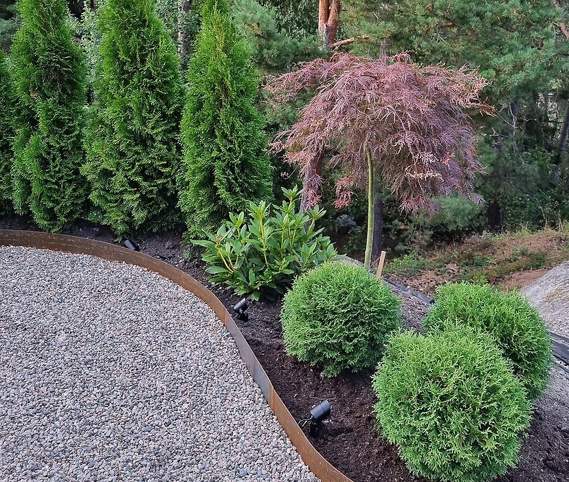 Kontrasterande bladverk