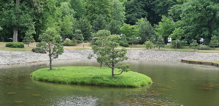 Japansk trädgård ö med tallar