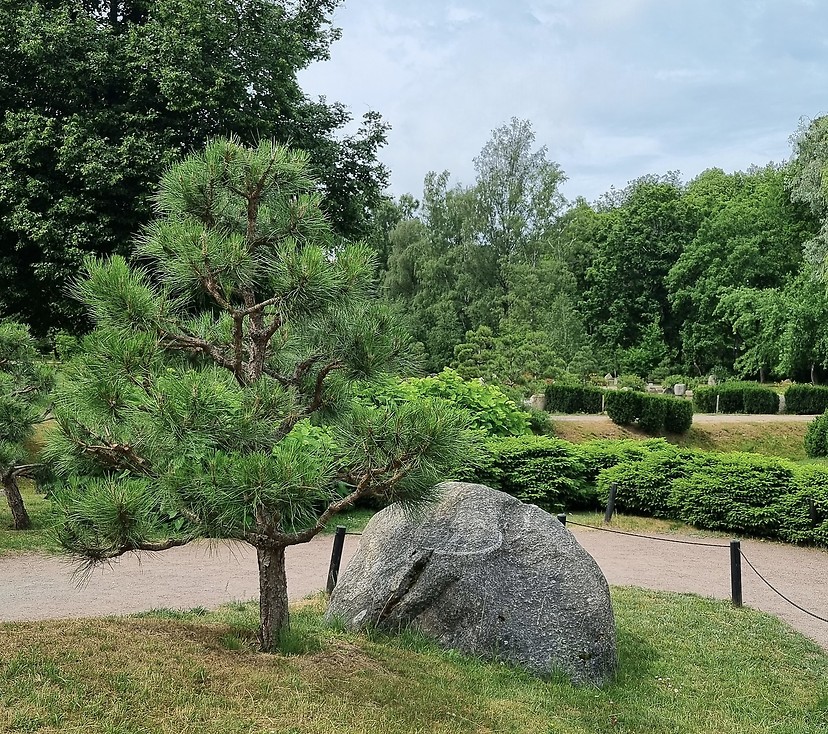 Japansk trädgård tall sten